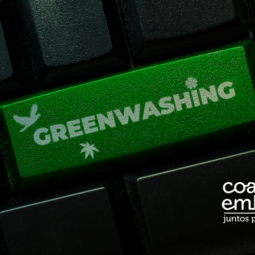Greenwashing – Entenda o conceito e previna-se dessa armadilha