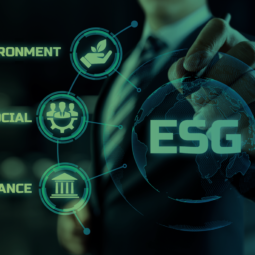 ESG – Investir em estratégias de preservação ambiental atrai investimentos