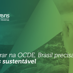 Investimento em sustentabilidade é requisito para entrada do Brasil na OCDE