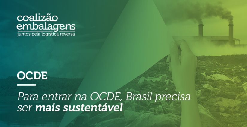 Investimento em sustentabilidade é requisito para entrada do Brasil na OCDE
